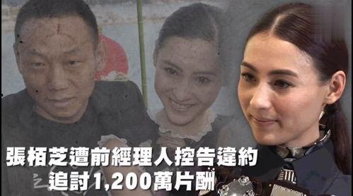 吃瓜娱乐而已