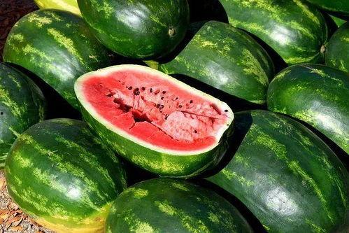 娱乐吃瓜剪辑素材,吃瓜群众视角下的明星幕后故事